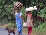 Indické ženy. Agonda, Goa. Indie