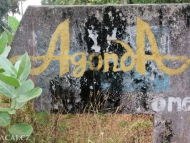 Welcome to Agonda! Goa, India