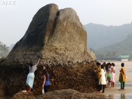 Indické ženy. Agonda. Goa, Indie