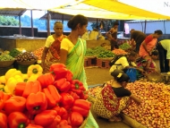 Saturday Market. Canacona. Goa, Indie