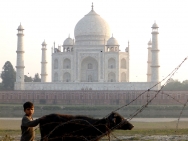 Taj Mahal z druhé strany řeky Yamuna - Agra, Indie