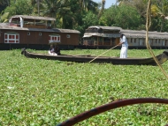 BackWaters - Allepey, Kerala, Indie