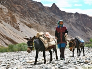 Ladakh, Jammu a Kashmir, Indie