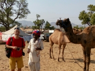 Camel festival. Pushkar, Rajasthan, Indie