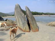 Skála na pláži v Palolem, Goa. Indie