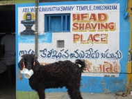 Holení hlav. Rameshwaram, Tamil Nadu, Indie