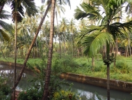 terasa-ubytováni-hotel-Agonda,Goa