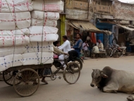 Nákladní rikša ve Varanasi, Uttar Prades