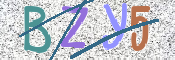 CAPTCHA obrázek