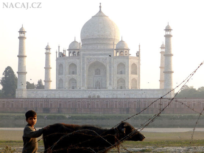 Taj Mahal za řekou Jamuna. Indie