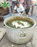 Bhang ve Varanasi - výroba z marihuany